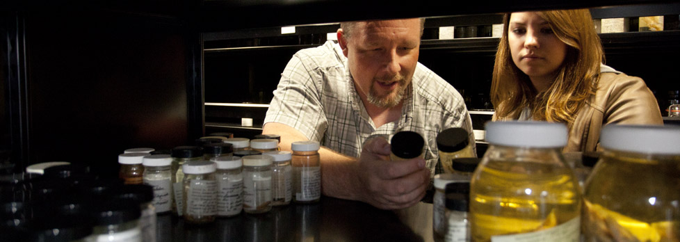 Southeastern biologist and fish expert Kyle Piller and geology graduate assistant Kim Foster select specimens from the university’s Vertebrate Museum for further study.
