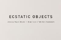 Ecstatic Objects
