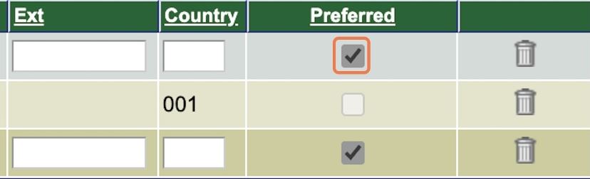 Leonet interface with Preferred option checked