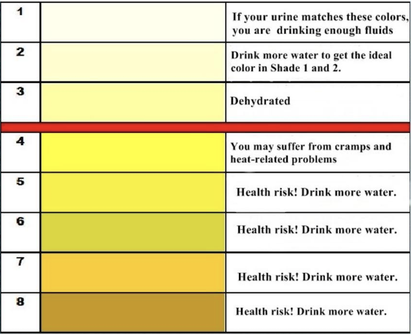 Are You Dehydrated?