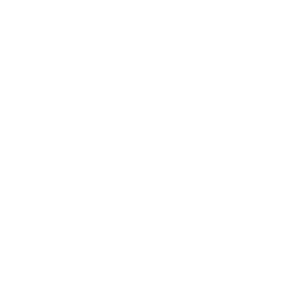 Bar Graph Icon