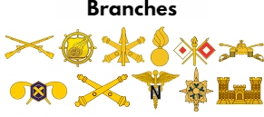 MOS Branches
