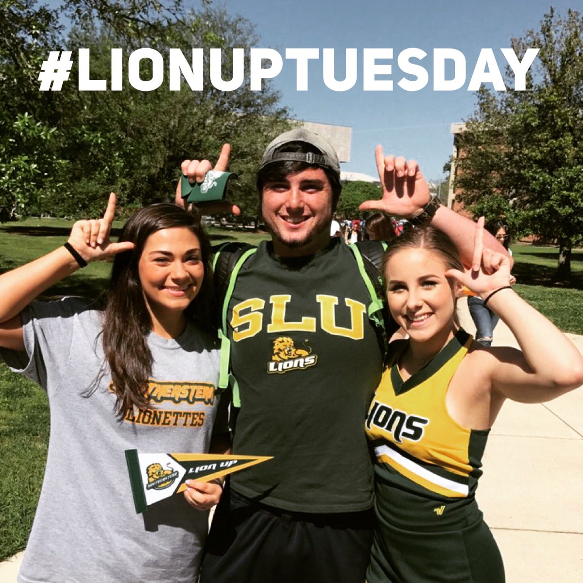Lion Up Tuesday