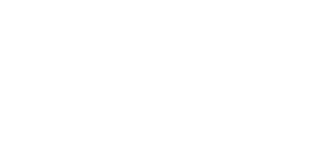 Workforce Talent Initiative logo