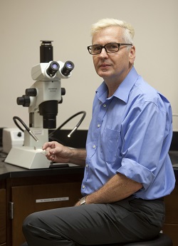 Dr. Volker Stiller
