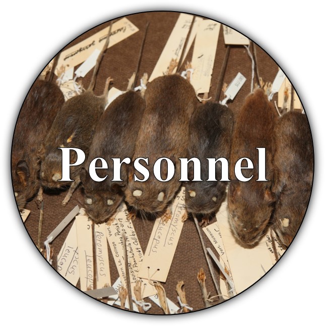 personnel link