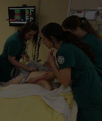 Students Checking Pulse on Dummy