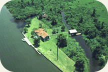 aerial of turtle cove