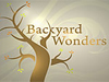 backyard wonders link