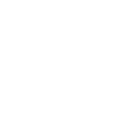 Southeastern S Logo