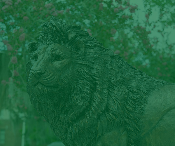 Lion Statue in Friendship Circle