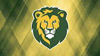 Lion Green and Yellow