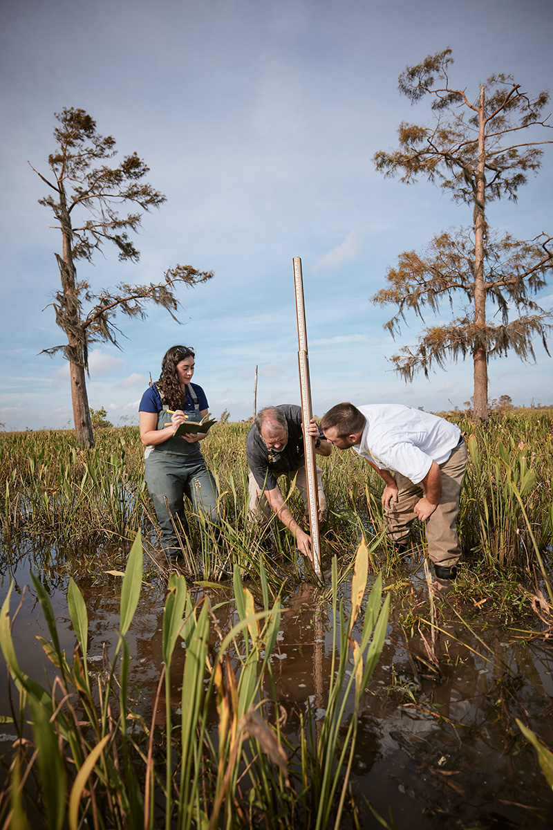 People taking samples in marsh