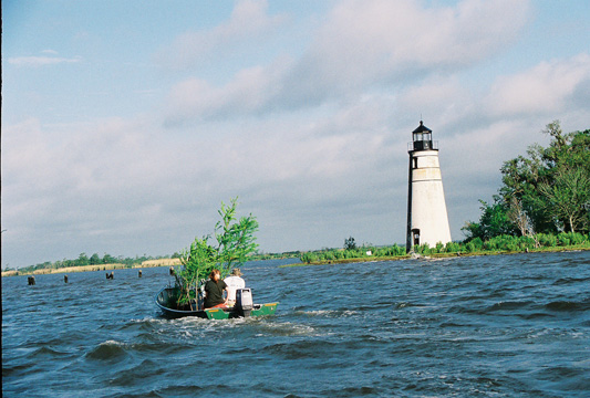 Transporting trees to lighthouse site
