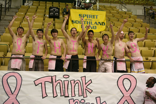 2008 "Pink" breast cancer awareness game
