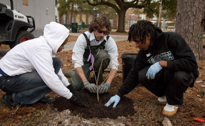 Grant helps supply replacement trees for campus