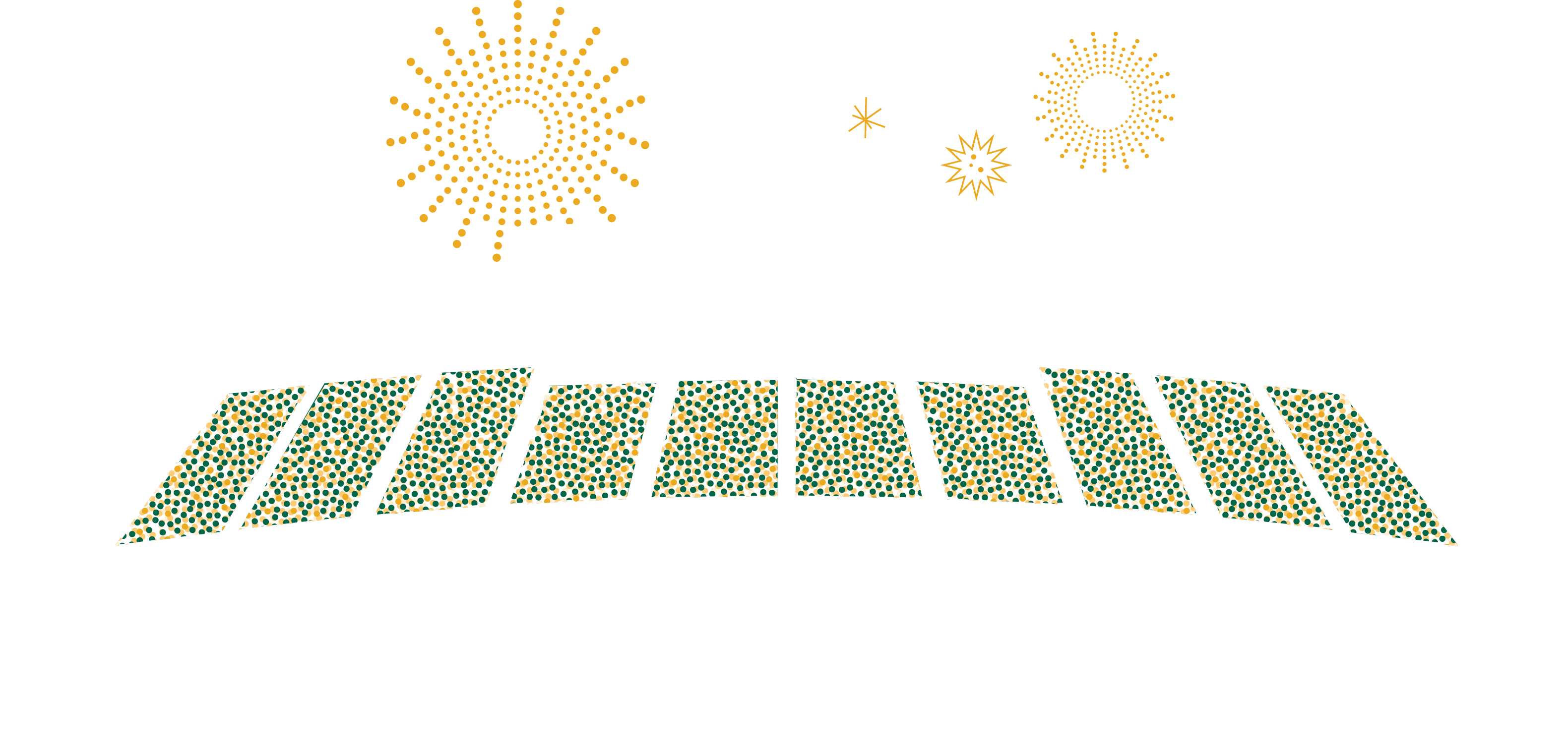 Southeastern Homecoming