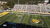 Strawberry Stadium