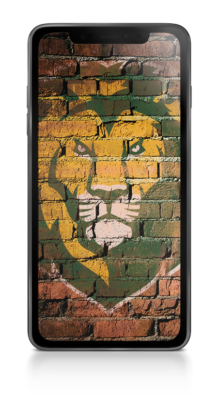 iPhone Wallpaper