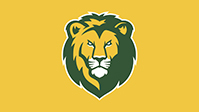 Lion Yellow