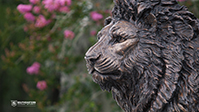 Lion Statue