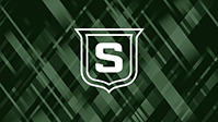 Logo Stripes