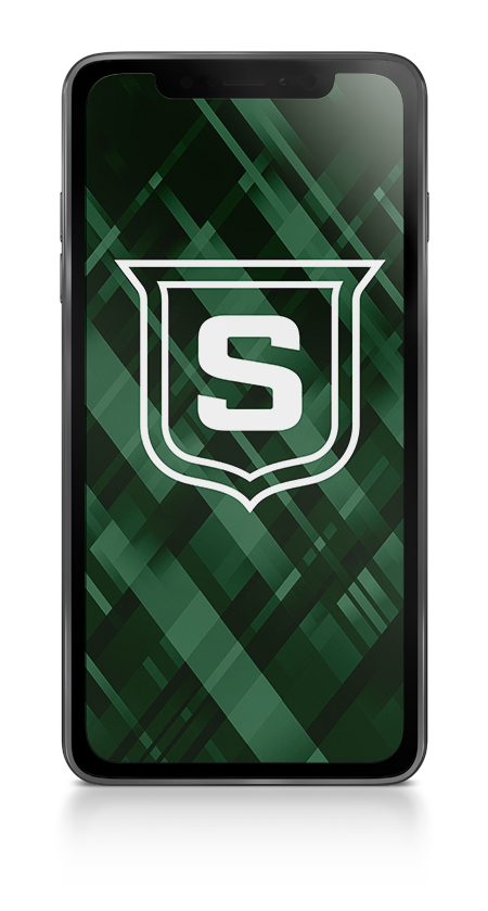 Logo Stripes