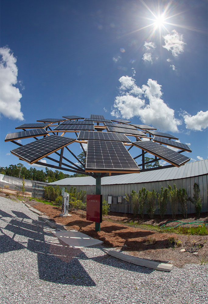 Sunflower solar panel structure.