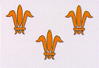 fleur de lis