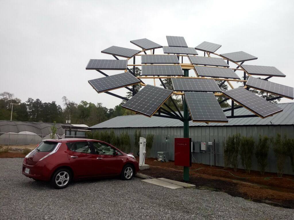 flower solar array