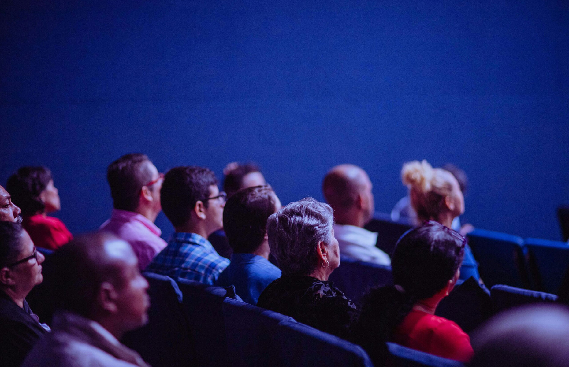 Participants in a theater watching.